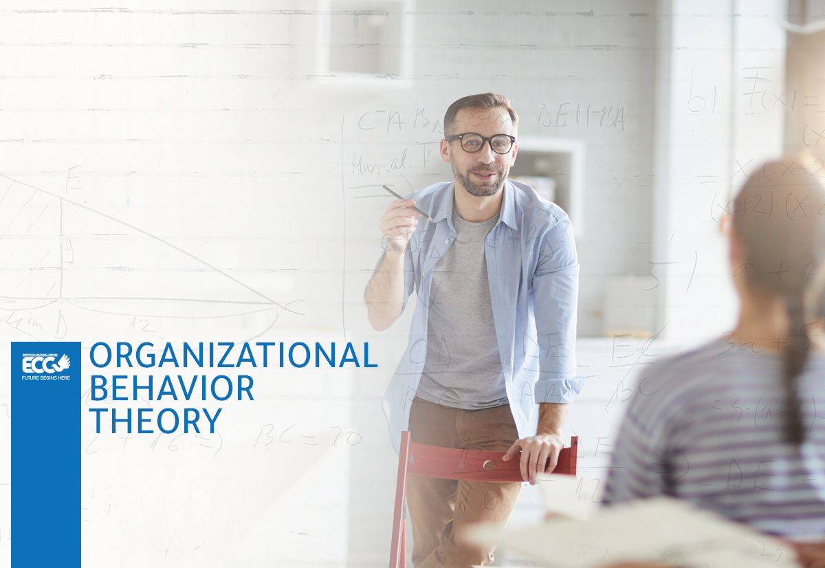 organizational behavior theory
